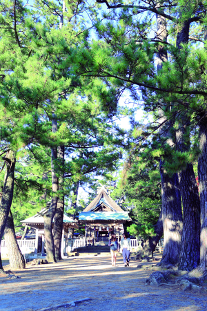 水若酢神社